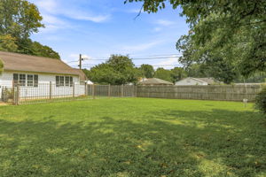 35-Backyard
