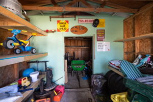  Photo 50