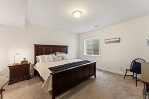 Lower level bedroom