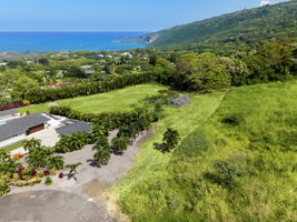 Aerial 3