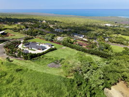 Aerial 4