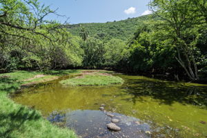 Kealakekua Bay 5