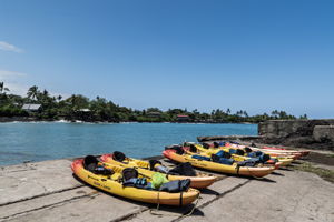 Kealakekua Bay Kayaks