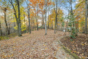 Image-47