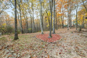 Image-46