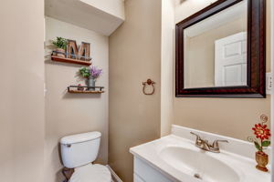 Lower Level - Bathroom