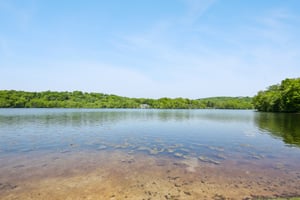 IMG_7856.jpg