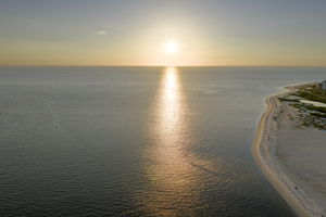  Photo 100