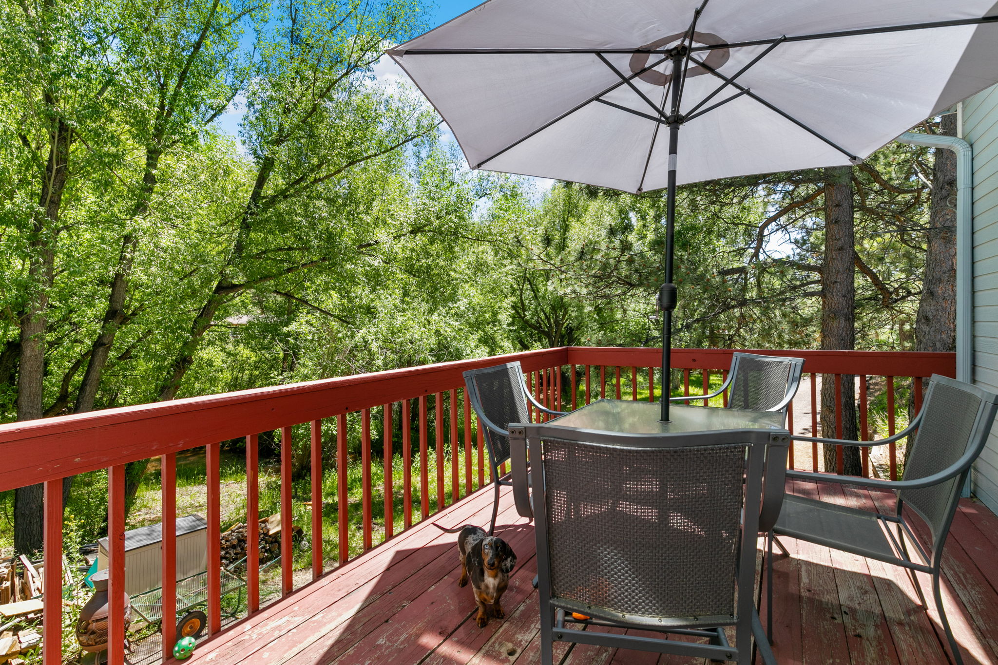 Deck