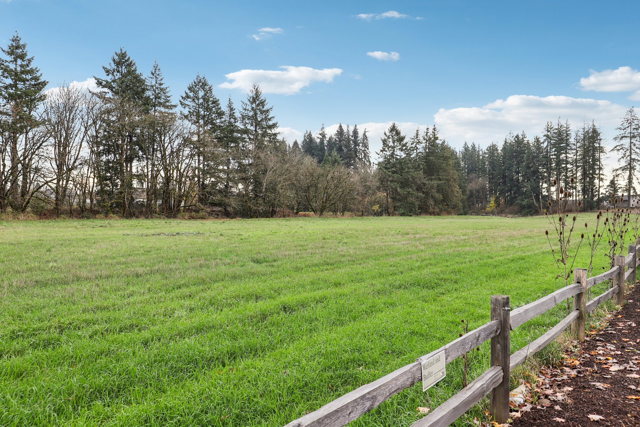 NE 174th Ave-S1911-093.jpg