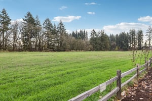 NE 174th Ave-S1911-093.jpg