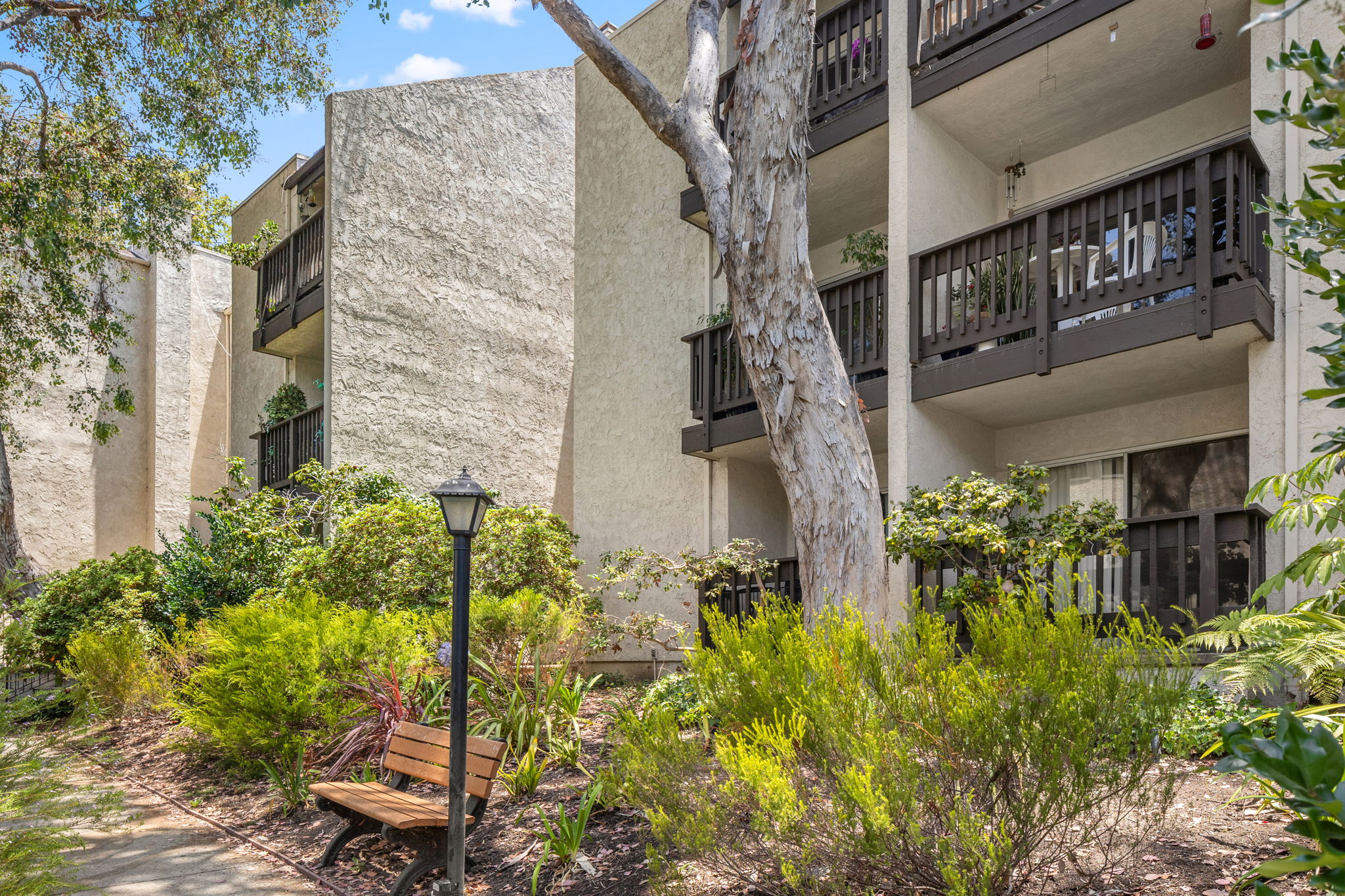 8306 Summertime Lane-2