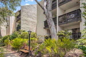 8306 Summertime Lane-2