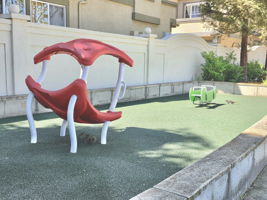  Photo 54
