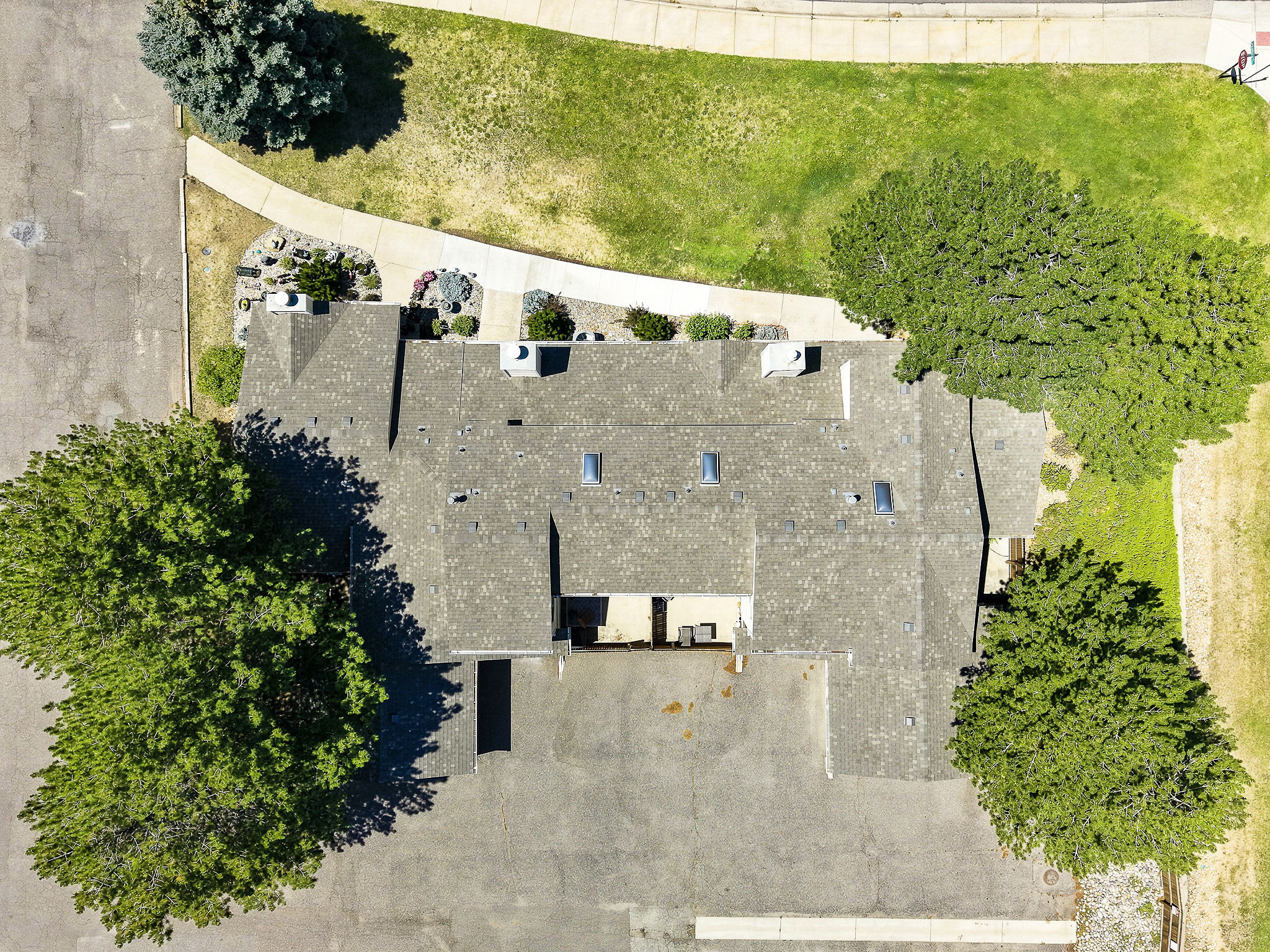  Photo 53