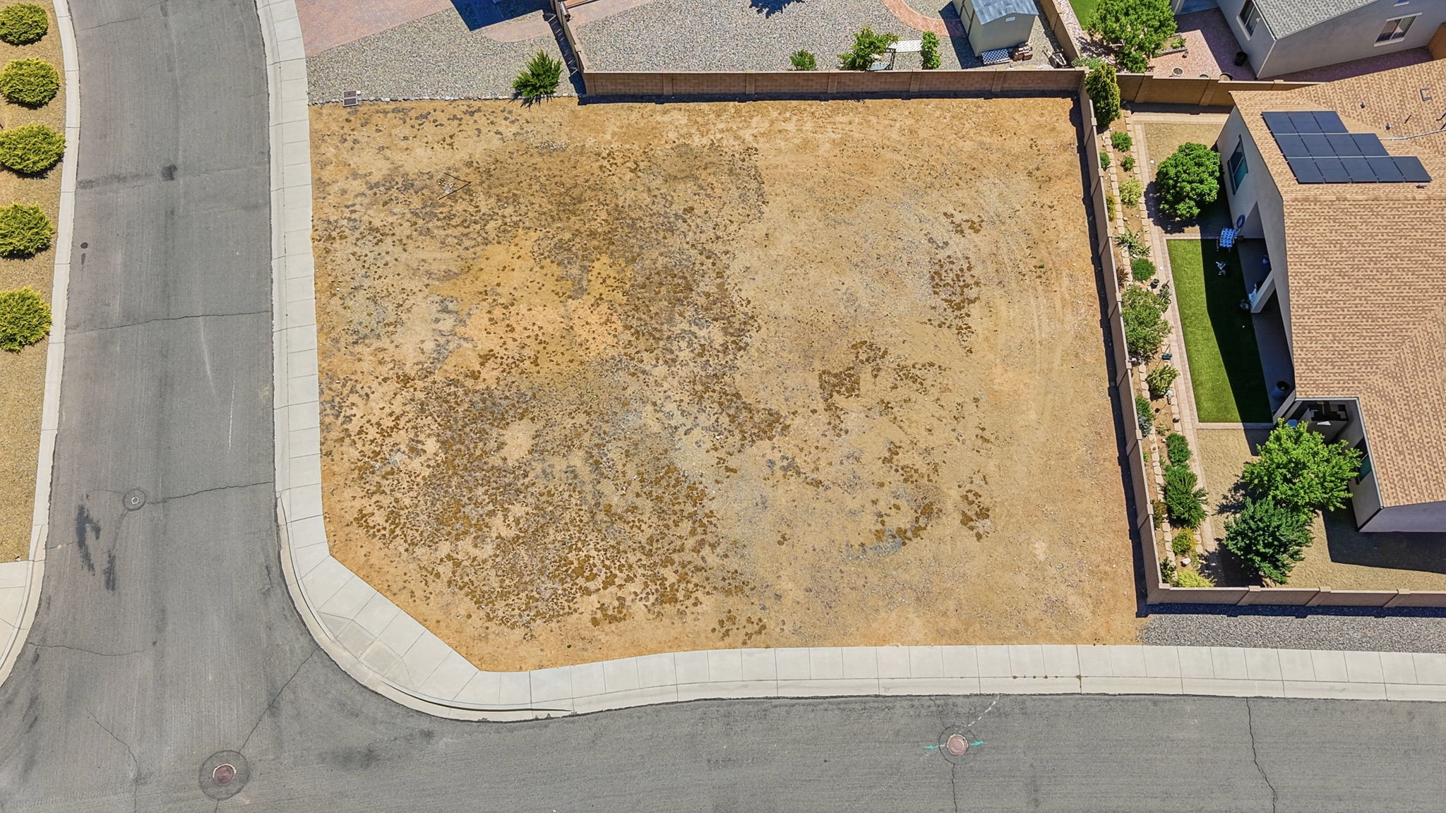 Birds Eye