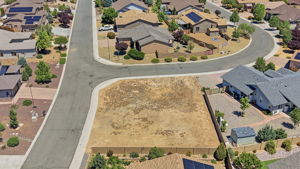 Birds Eye (2)