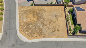 Birds Eye
