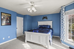  Photo 44