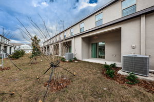 Backyard2-3