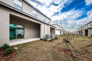 Backyard1-3