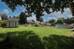  Photo 45