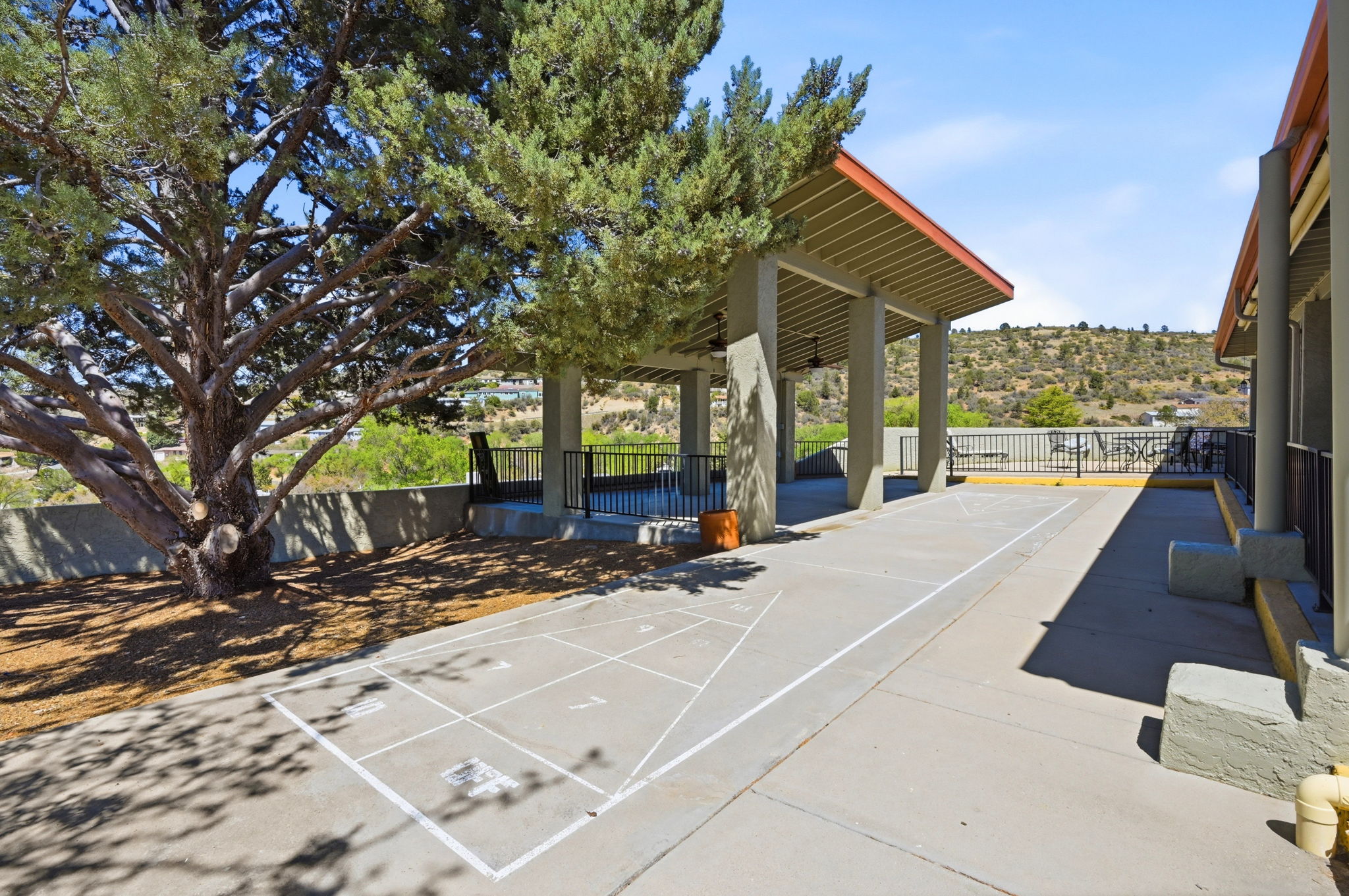 Shuffleboard