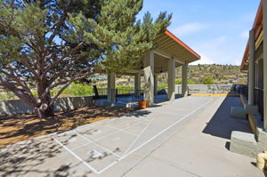 Shuffleboard