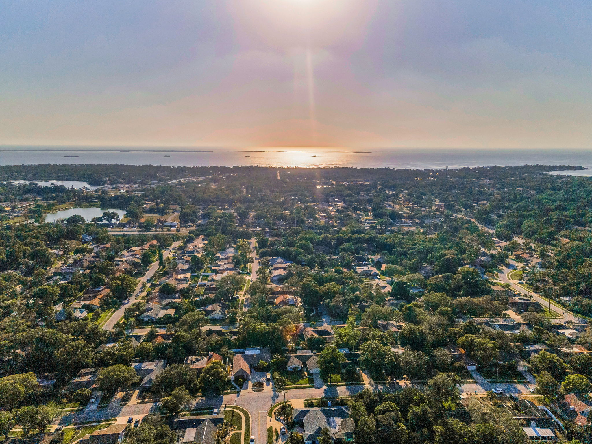 Aerial (7)