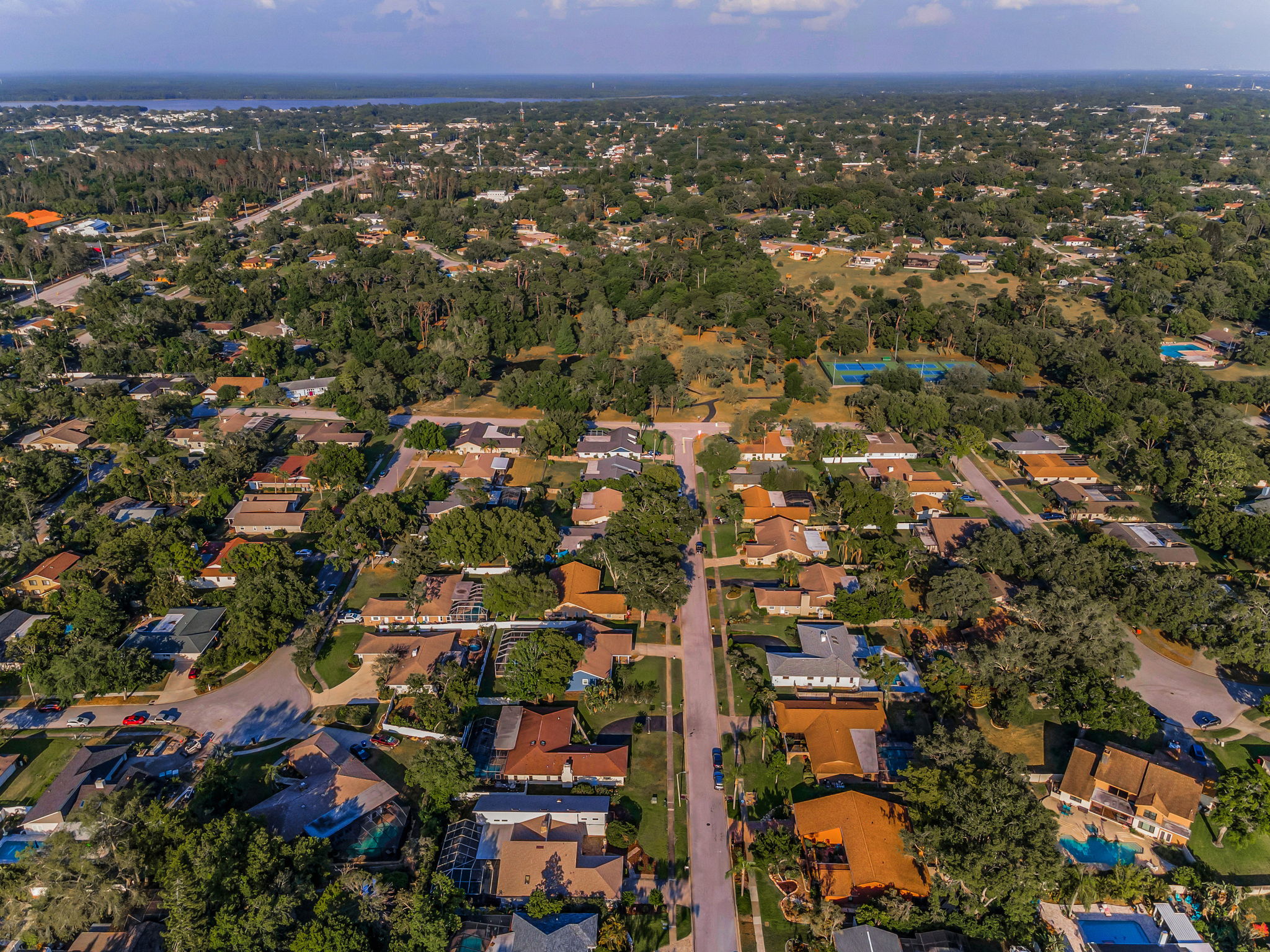 Aerial (11)