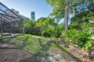 Backyard2