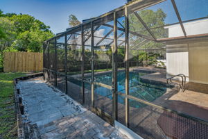 Backyard7