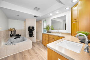 Master Bathroom1a