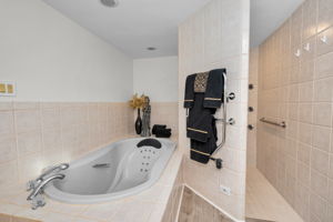 Master Bathroom1c