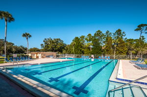 7-Pool