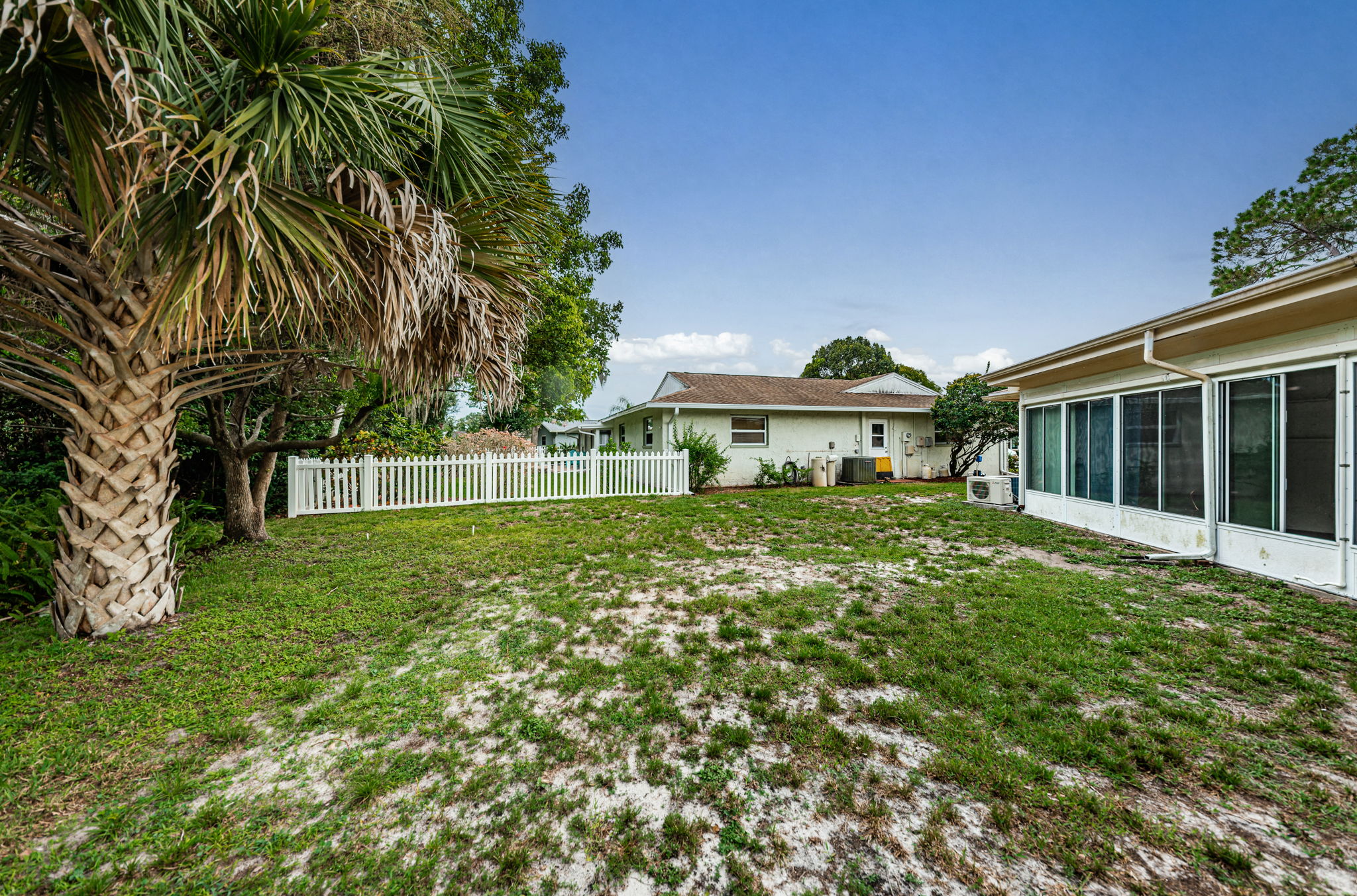 Backyard4
