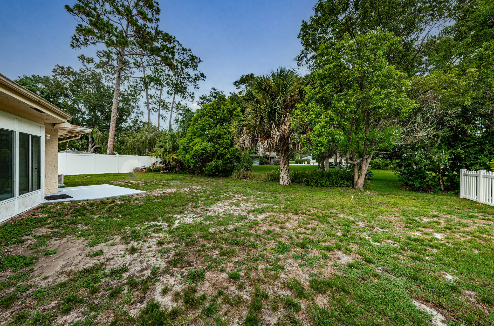 Backyard6