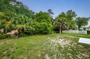 Backyard1