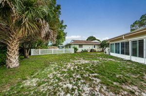 Backyard4