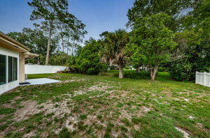 Backyard6