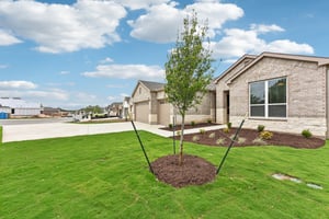 Peaceful Psalms Pl-S1104-004.jpg