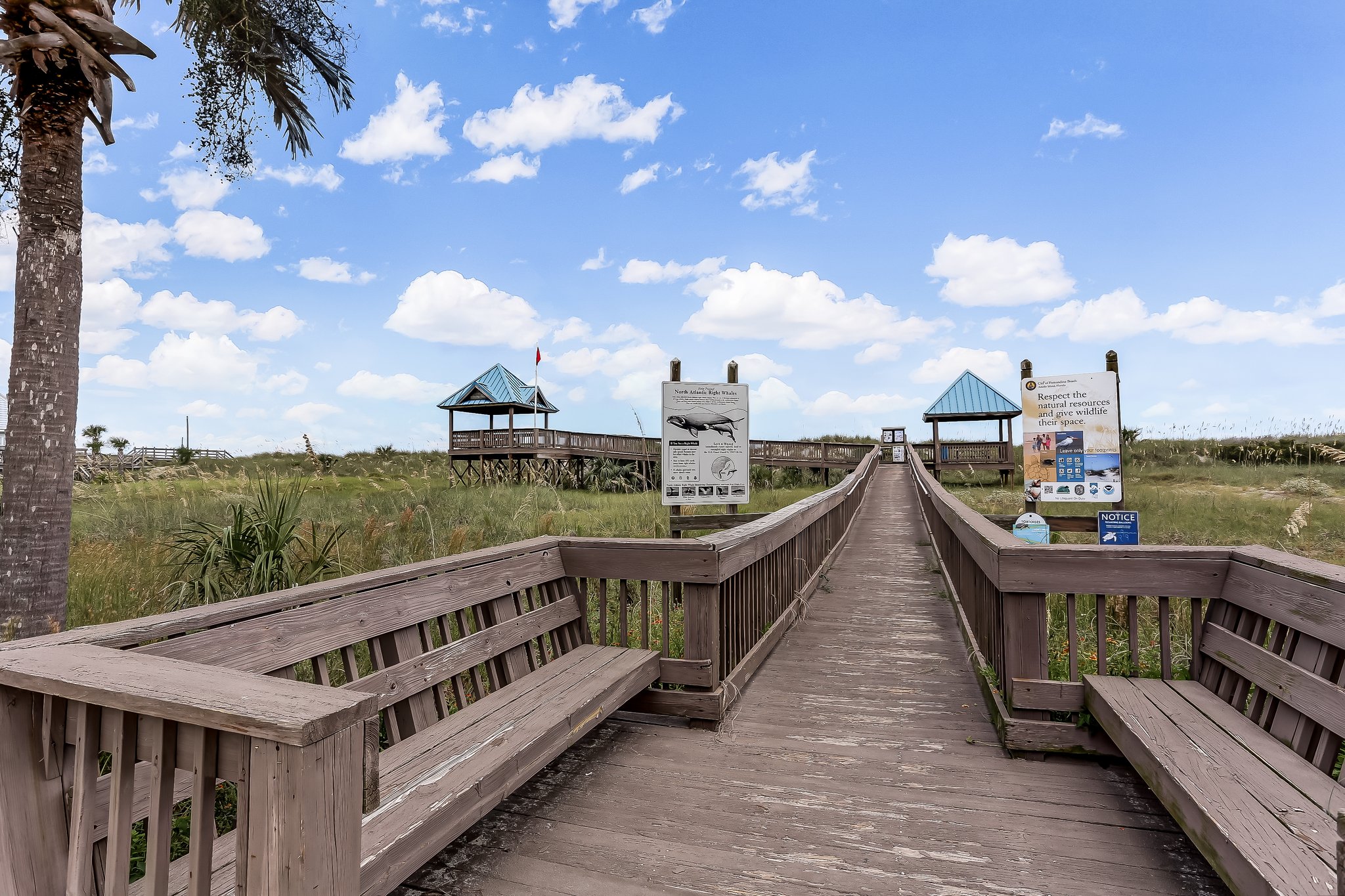 Beautiful day to stroll on the beach!