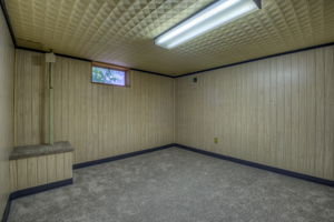 Finished Basement