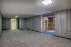 Finished Basement