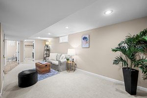 Lower level spacious family room