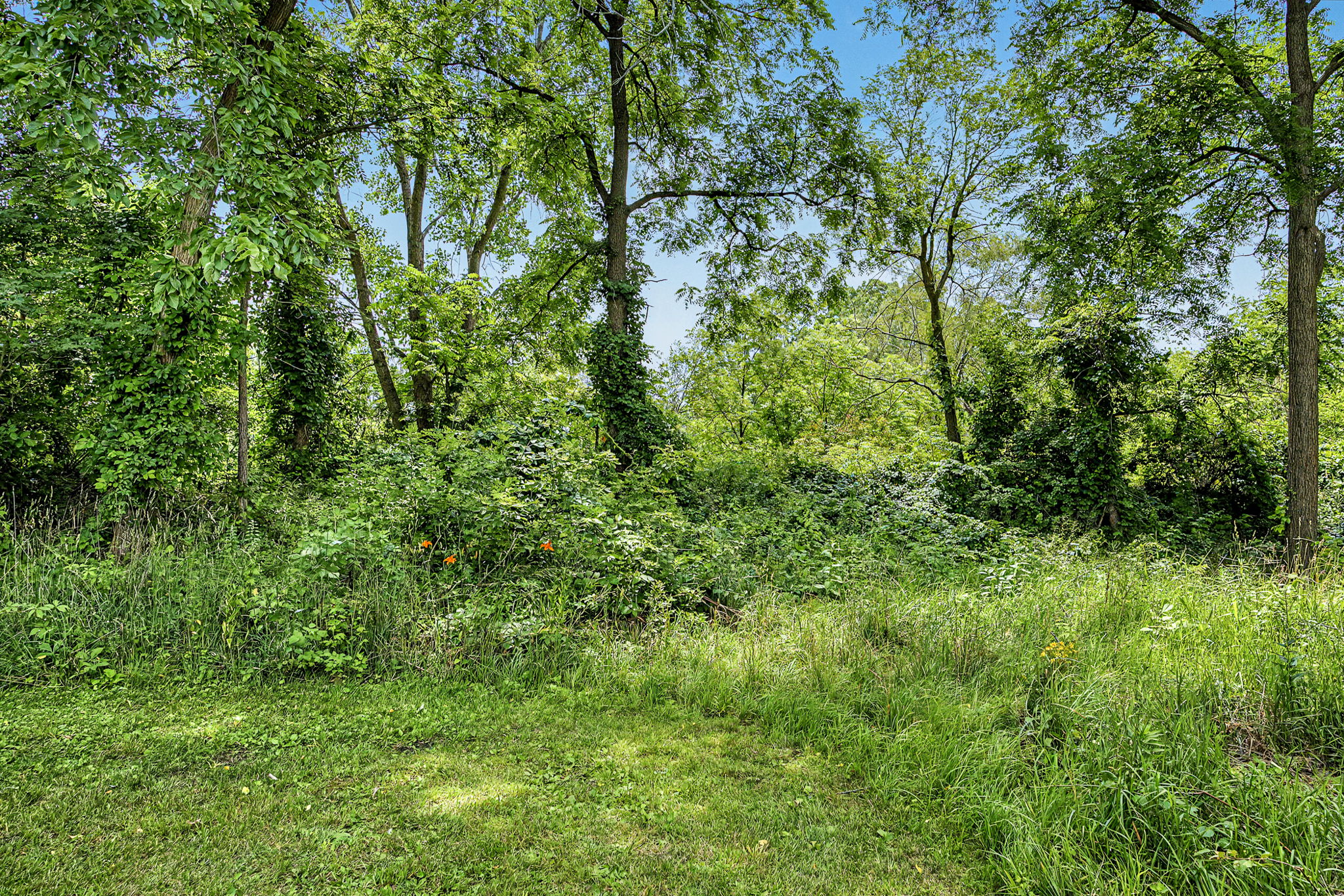  Photo 45
