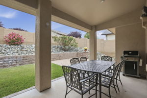 Back Patio_1