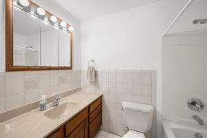 835 Bryn Mawr Ave, Bartlett, IL 60103_017