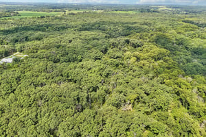 SE 601st Rd-S0408-008.jpg
