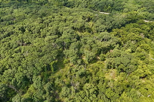 SE 601st Rd-S0408-009.jpg